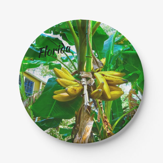 Tropical Banana Palm Tree St Augustine Florida Paper Plates (Front)