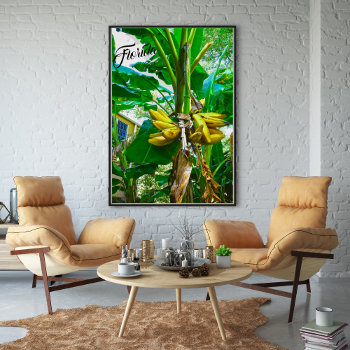 Tropical Banana Palm Tree St Augustine Florida Poster by Sozo4all at Zazzle