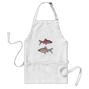 Tropical Barb Fish Red and Grey Exotic Aquatic Adult Apron