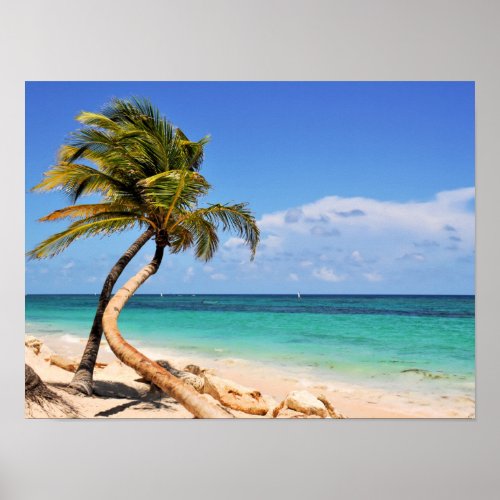 Tropical Beach And Palm Tree Poster