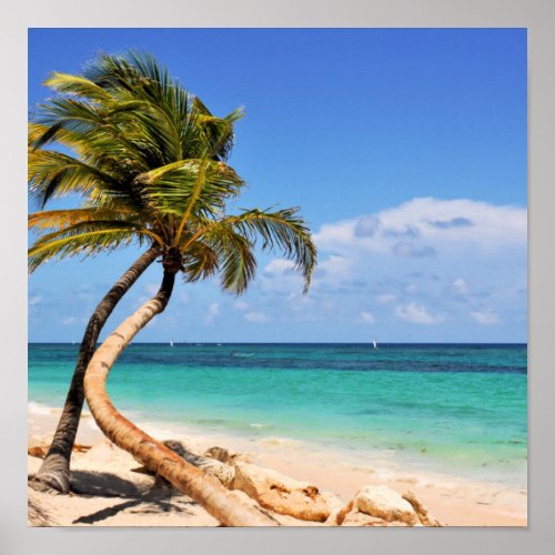 Tropical Beach And Palm Tree Poster