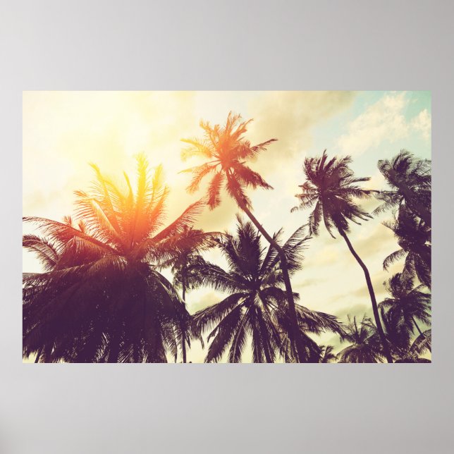 Tropical beach background with palm trees silhouet poster (Front)