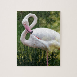Tropical Beach Birds Destiny Flamingos Jigsaw Puzzle