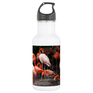 Tropical Beach Birds Destiny Flamingos Water Bottle