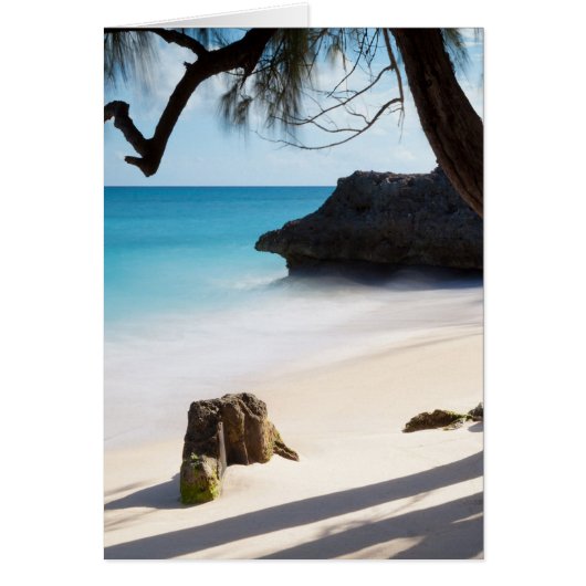 Tropical Beach Cards (Front)