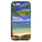 tropical beach