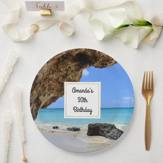 Tropical Beach Coast with a Big Rock Birthday Paper Plates (Wedding)