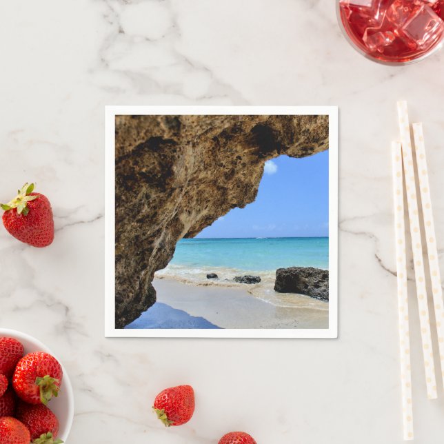 Tropical Beach Coast with a Big Rock Napkins (Insitu)