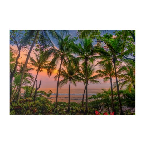 Tropical Beach  Corcovado National Park Acrylic Print