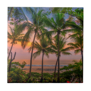 Tropical Beach Corcovado National Park Ceramic Tile