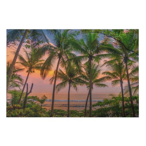 Tropical Beach  Corcovado National Park Faux Canvas Print