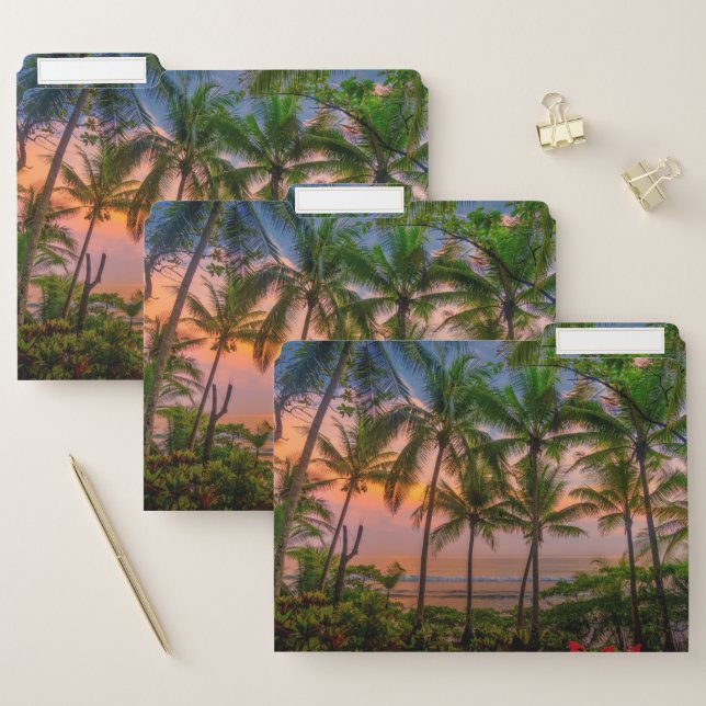 Tropical Beach | Corcovado National Park File Folder (Set)