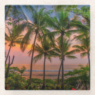 Tropical Beach   Corcovado National Park Glass Coaster