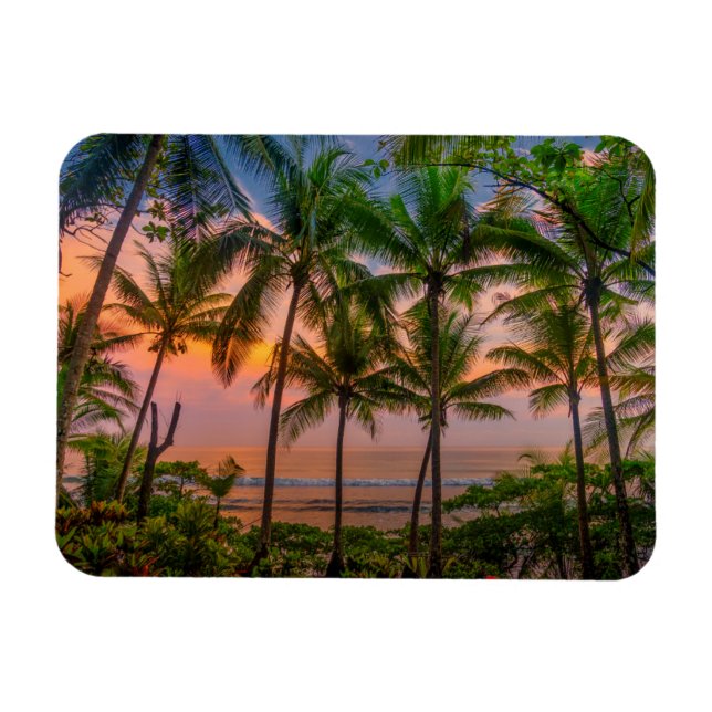 Tropical Beach | Corcovado National Park Magnet (Horizontal)