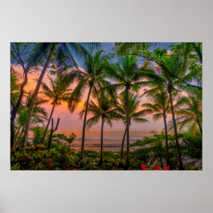 Tropical Beach Corcovado National Park Poster