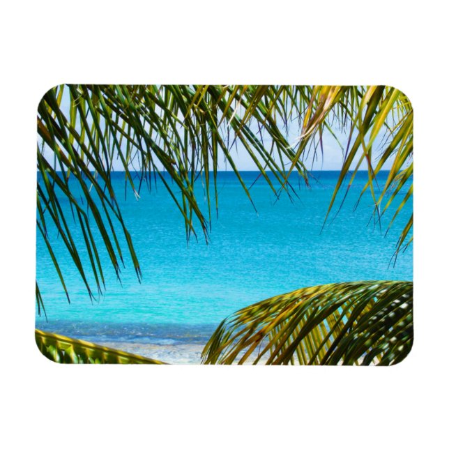 Tropical Beach framed with Palm Fronds Magnet (Horizontal)