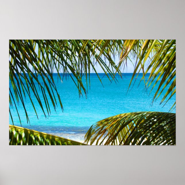 Tropical Beach framed with Palm Fronds Poster (Front)