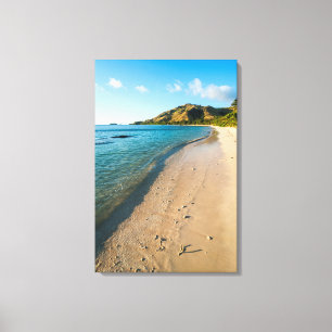 Tropical Beach Landscape, Fiji Canvas Print