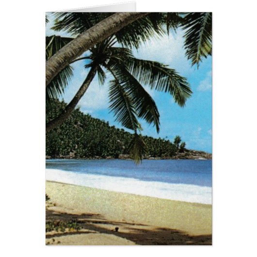 Tropical beach painting cards (Front)