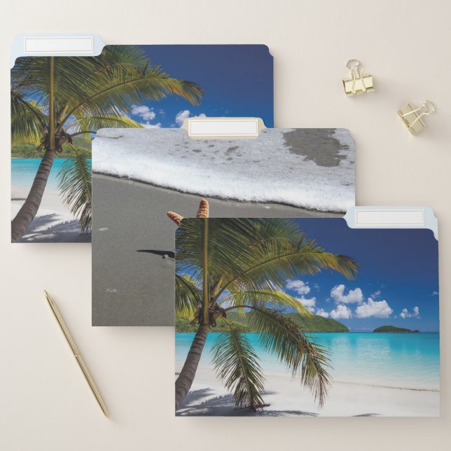 Tropical Beach, Palm,Seashells File Folder (Set)