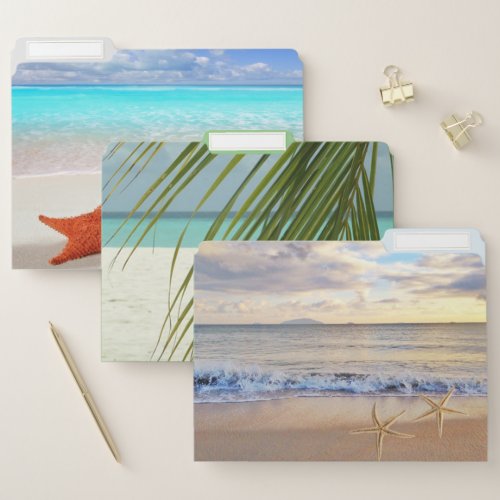 Tropical Beach Palm Seashells File Folder