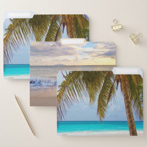 Tropical Beach PalmSeashells Sunset File Folder