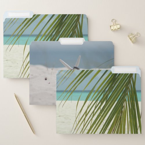 Tropical Beach PalmStarfish Rings File Folder