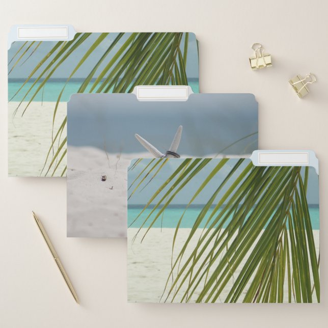 Tropical Beach, Palm,Starfish, Rings File Folder (Set)