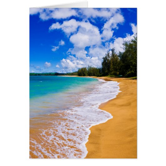 Tropical beach paradise, Hawaii (Front)