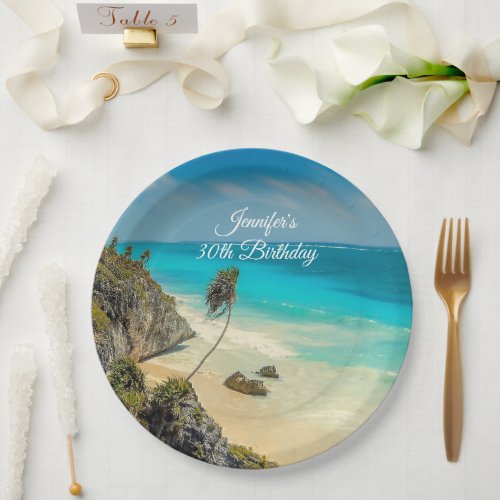 Tropical Beach Paradise with Palm Trees Birthday Paper Plates