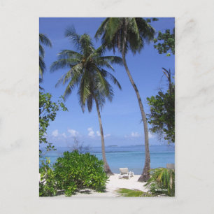 Tropical Beach Postcard