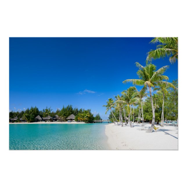 Tropical beach poster (Front)
