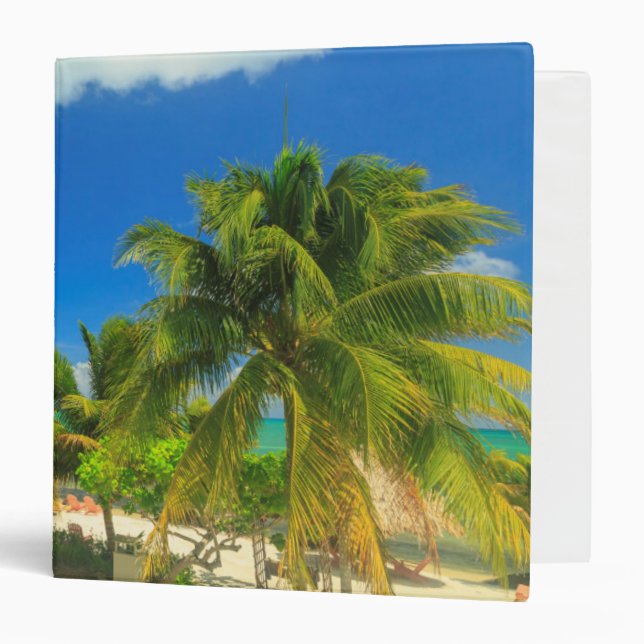 Tropical beach resort, Belize 3 Ring Binder (Front/Inside)