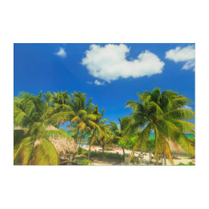 Tropical beach resort, Belize Acrylic Print