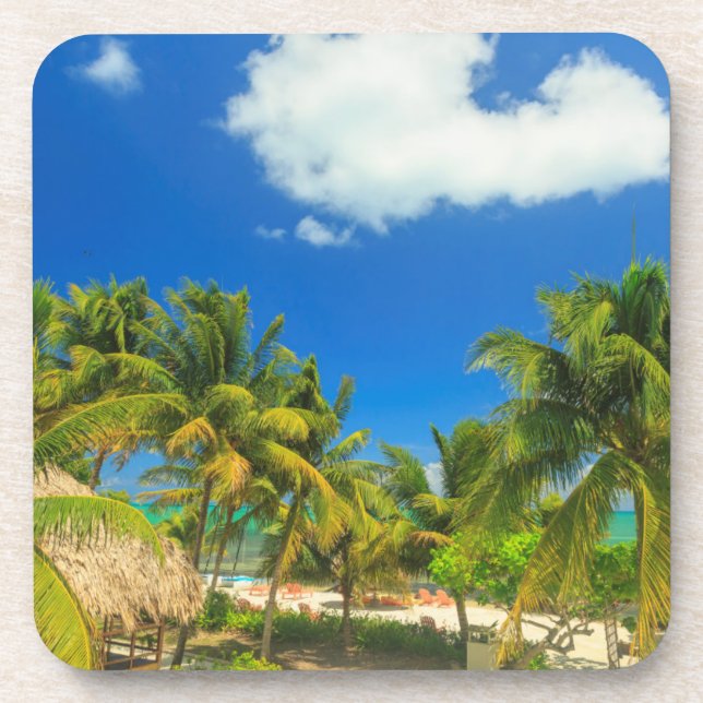 Tropical beach resort, Belize Drink Coaster (Front)