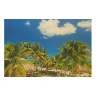 Tropical beach resort, Belize Wood Wall Art