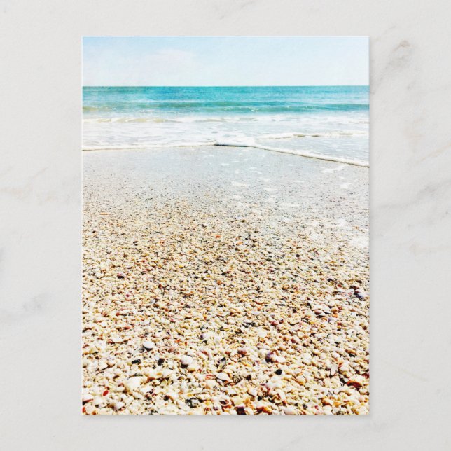 Tropical Beach Sand Ocean Waves Sea Shells Florida Postcard (Front)