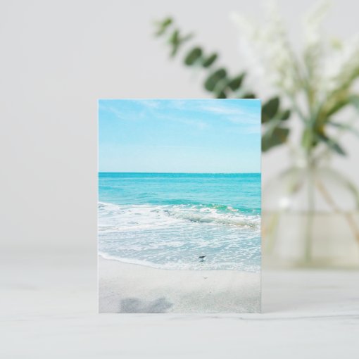Tropical Beach Sand Ocean Waves Sea Shells Gulf Postcard | Zazzle