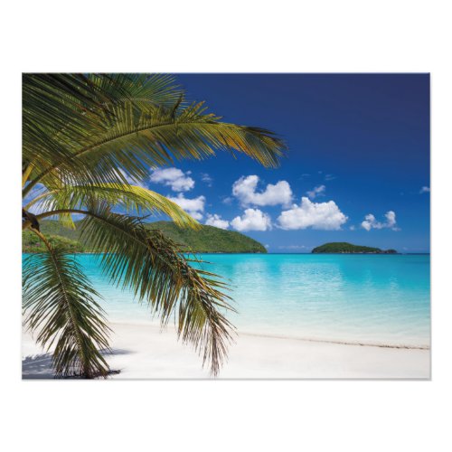 Tropical Beach Scene Photo Print