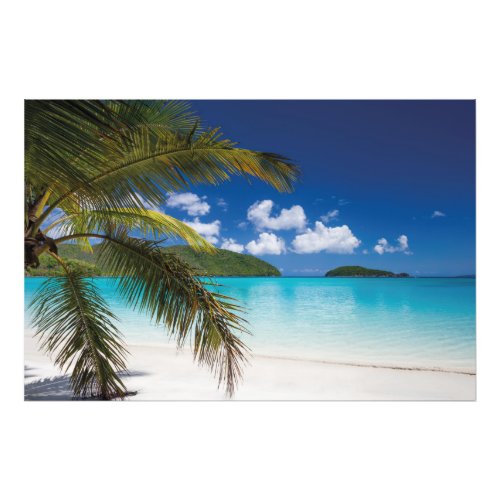 Tropical Beach Scene Photo Print