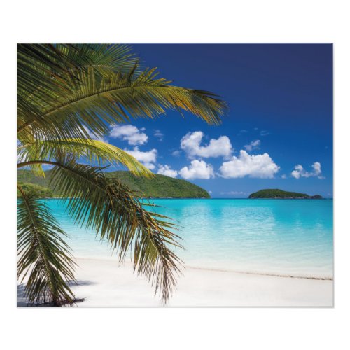 Tropical Beach Scene Photo Print