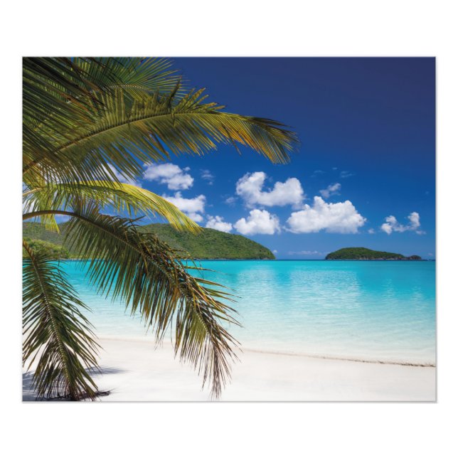Tropical Beach Scene Photo Print (Front)