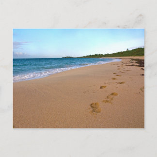 Tropical Beach Scene Postcard