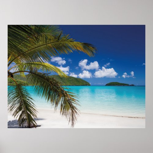 Tropical Beach Scene Poster