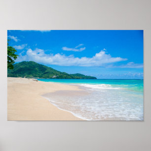Tropical Beach Scenic Photo Poster