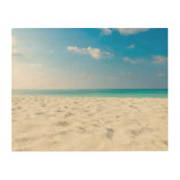 Tropical Beach Sea Sand Sky & Summer Day