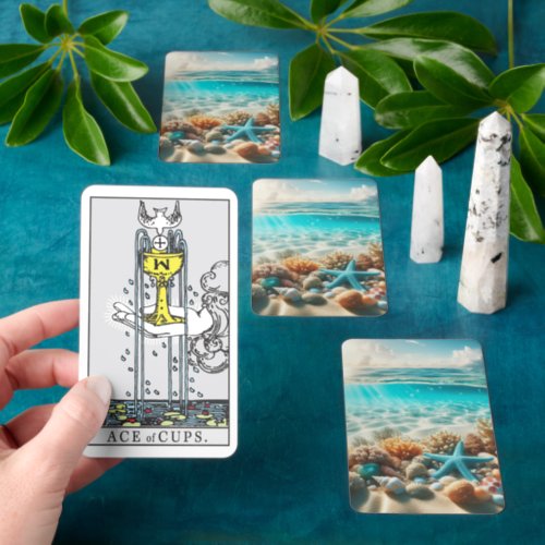 Tropical Beach Seashells And Starfish Tarot Cards