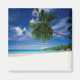 Tropical Beach Seychelles Magnet