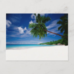 Tropical Beach Seychelles Postcard