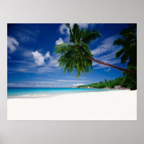 Tropical Beach  Seychelles Poster